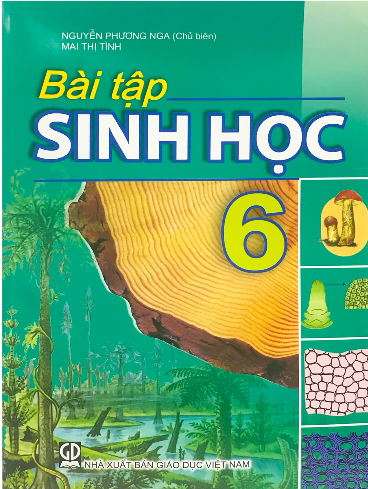 Bài Tập Sinh Học Lớp 6