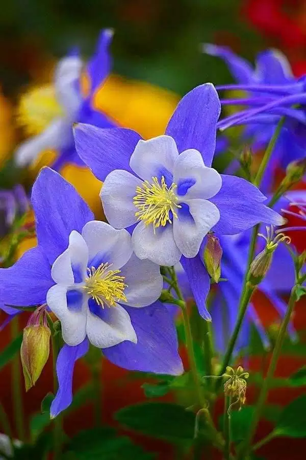CÓ NHỮNG NGÀY NHƯ THẾ