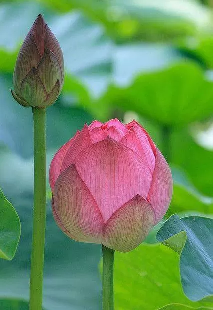 ĐỦ…