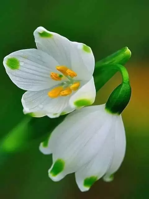 NẾU KHÔNG THUỘC VỀ NHAU