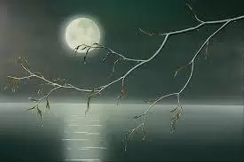 Người Đàn Bà Hóa Thân