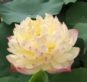NÓI VỚI EM