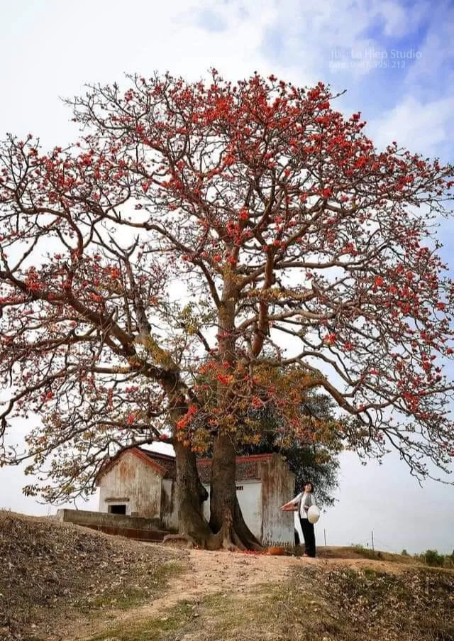 QUÊ NHÀ
