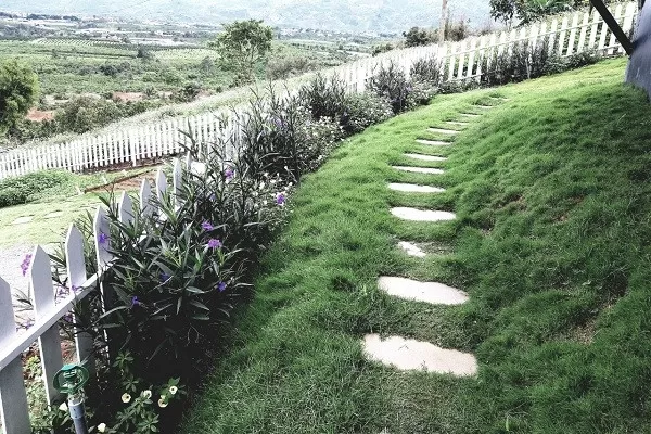 Tình Hoài Niệm