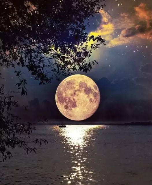 TRĂNG KHUYẾT
