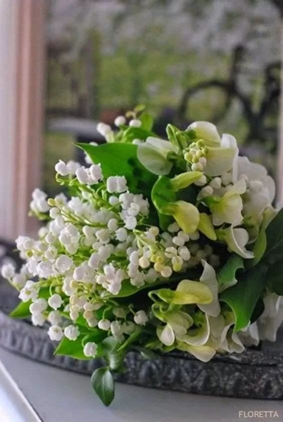 TUỔI BỐN MƯƠI